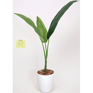 光触媒 人工観葉植物 造花 トラベラーズパーム 1.1 (高さ110cm)