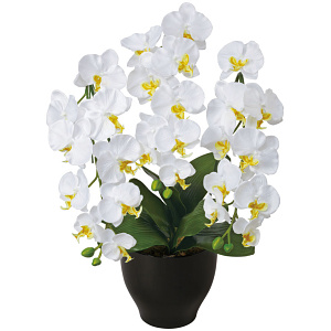 光触媒 人工観葉植物 造花 胡蝶蘭セリースW (高さ66cm)