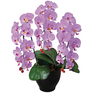 光触媒 人工観葉植物 造花 胡蝶蘭セリースL (高さ66cm)