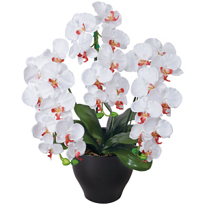 光触媒 人工観葉植物 造花 胡蝶蘭セリースW/AB (高さ66cm)