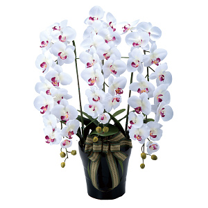 光触媒 人工観葉植物 造花 ロイヤル胡蝶蘭W/AB (高さ76cm)
