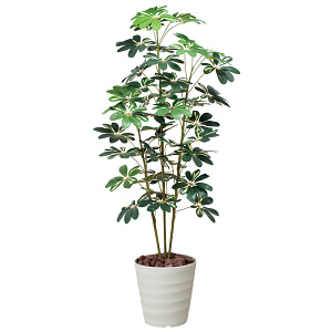 光触媒 人工観葉植物 造花 カポック斑入り1.5 (高さ150cm)