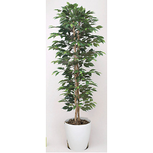 光触媒 人工観葉植物 造花 ベンジャミンスリム1.6 (高さ160cm)