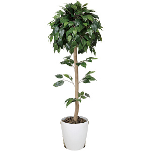 光触媒 人工観葉植物 造花 ベンジャミントピアリー 1.2 (高さ120cm)