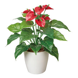 光触媒 人工観葉植物 造花 フレッシュアンスリュームM (高さ43cm)