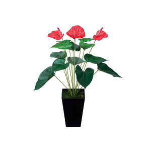 光触媒 人工観葉植物 造花 アンスリューム (高さ53cm)