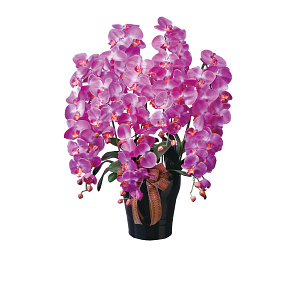 光触媒 人工観葉植物 造花 ロイヤル胡蝶蘭5本立L (高さ76cm)