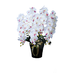 光触媒 人工観葉植物 造花 ロイヤル胡蝶蘭5本立W/AB (高さ76cm)
