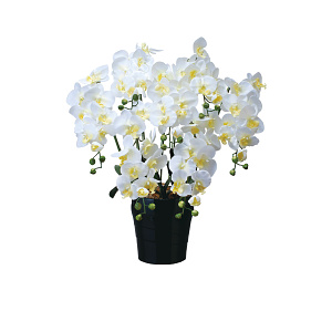 光触媒 人工観葉植物 造花 キング胡蝶蘭7本立W (高さ76cm)