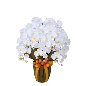 光触媒 人工観葉植物 造花 エレガント胡蝶蘭5本立W (高さ64cm)