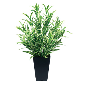 光触媒 人工観葉植物 造花 ツートンスパイダー (高さ50cm)