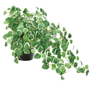 光触媒 人工観葉植物 造花 プミラ (高さ25cm)