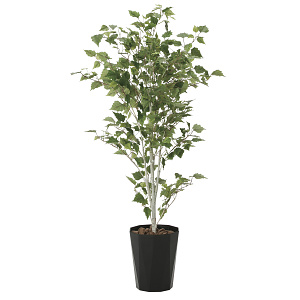 光触媒 人工観葉植物 造花 白樺1.4 (高さ140cm)