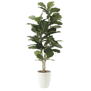 光触媒 人工観葉植物 造花 カシワバゴム1.35 (高さ135cm)