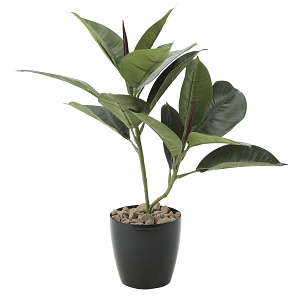 光触媒 人工観葉植物 造花 ゴムの木 (高さ47cm)