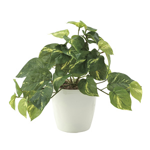 光触媒 人工観葉植物 造花 フレッシュポトスS (高さ25cm)