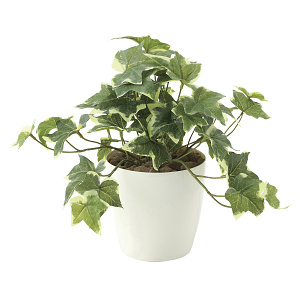 光触媒 人工観葉植物 造花 フレッシュ斑入りアイビーS (高さ25cm)