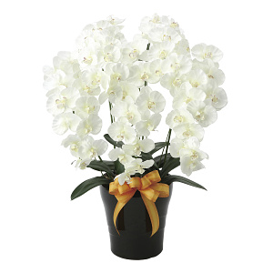 光触媒 人工観葉植物 造花 プレミアム胡蝶蘭5本立W (高さ75cm)