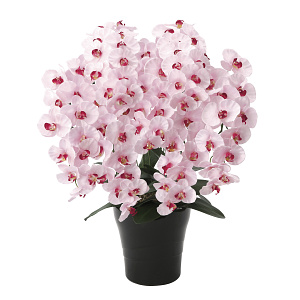光触媒 人工観葉植物 造花 プレミアム胡蝶蘭7本立P (高さ75cm)