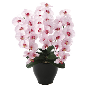 光触媒 人工観葉植物 造花 プレミアム胡蝶蘭P (高さ68cm)