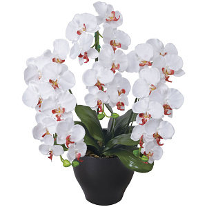 光触媒 人工観葉植物 造花 プレミアム胡蝶蘭W/AB (高さ68cm)