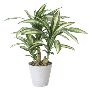 光触媒 人工観葉植物 造花 幸福の木S (高さ60cm)