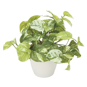 光触媒 人工観葉植物 造花 マ―ブルポトス (高さ25cm)