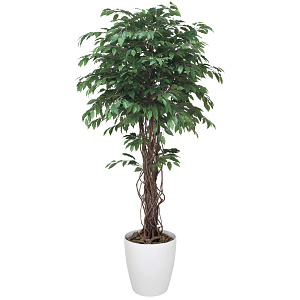 光触媒 人工観葉植物 造花 ベンジャミンリアナ 1.8 (高さ180cm)