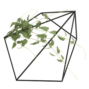 光触媒 人工観葉植物 造花 壁面緑化リキュウソウ (高さ18cm)