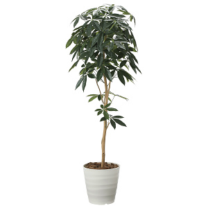 光触媒 人工観葉植物 造花 デザインパキラ1.6 (高さ160cm)