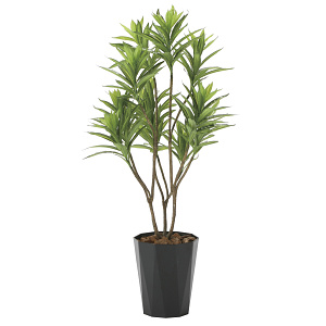 光触媒 人工観葉植物 造花 フレッシュドラセナ1.2 (高さ120cm)