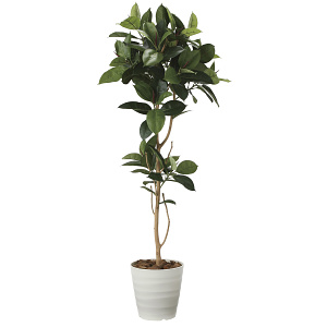 光触媒 人工観葉植物 造花 ゴムの木1.8 (高さ180cm)