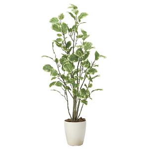 光触媒 人工観葉植物 造花 ポリシャス1.15 (高さ115cm)