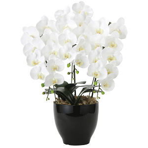 光触媒 人工観葉植物 造花 フレッシュ胡蝶蘭 3本立W (高さ66cm)