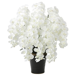 光触媒 人工観葉植物 造花 プレミアム胡蝶蘭10本立W (高さ90cm)