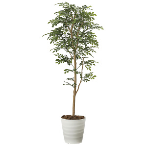光触媒 人工観葉植物 造花 トネリコ 1.6 (高さ160cm)