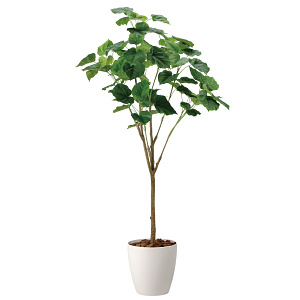 光触媒 人工観葉植物 造花 フィカスウンベラータ1.7 (高さ170cm)