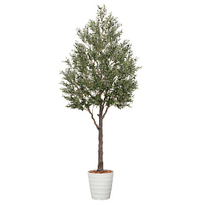 光触媒 人工観葉植物 造花 オリーブ3.2(組立式) (高さ320cm)