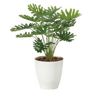 光触媒 人工観葉植物 造花 フレッシュクッカバラ   (高さ45cm)