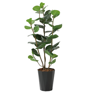 光触媒 人工観葉植物 造花 シーグレープDX1.25 (高さ125cm)