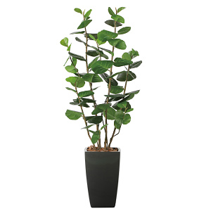 光触媒 人工観葉植物 造花 アーバンシーグレープ1.8 (高さ180cm)