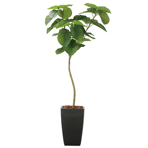 光触媒 人工観葉植物 造花 フレッシュアーバンウンベラータ1.8 (高さ180cm)