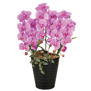 光触媒 人工観葉植物 造花 プリンセス胡蝶蘭L (高さ58cm)