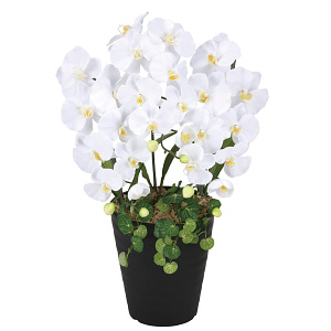 光触媒 人工観葉植物 造花 プリンセス胡蝶蘭W (高さ58cm)