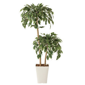 光触媒 人工観葉植物 造花 ゴールデンフィカスダブル1.2 (高さ120cm)