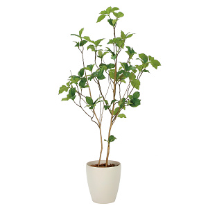 光触媒 人工観葉植物 造花 サラサドウダン1.2 (高さ120cm)