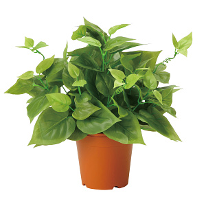 光触媒 人工観葉植物 造花 ライムポトス (高さ37cm)