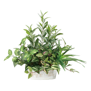 光触媒 人工観葉植物 造花 寄せ植えオリーブ (高さ50cm)