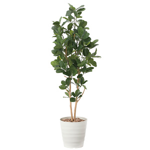 光触媒 人工観葉植物 造花 パンの木1.6 (高さ160cm)
