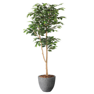 光触媒 人工観葉植物 造花 ナチュラルベンジャミン1.6 (高さ160cm)